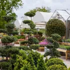 Business 37 image THE COURTYARD RESTAURANT SYON PARK Restaurants in Brentford Mi