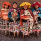 Business 32 image THE CURIOUS TRAVEL COMPANY Travel & Tourism in Leeds We