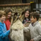 Business 5 image THE DONKEY SANCTUARY MANCHESTER Pets & Animals in Manchester Gr