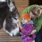 Business 6 image THE DONKEY SANCTUARY MANCHESTER Pets & Animals in Manchester Gr