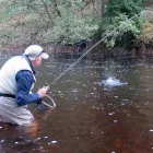 Business 1 image THE EDEN ANGLER Tutors in Carlisle Cu