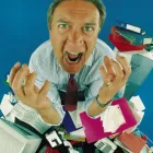 Business 2 image THE ELM TREE Pubs in Farnham Su