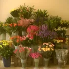 Business 10 image THE FLOWER ROOM Florists in Poole Do