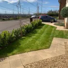 Business 1 image THE GLASGOW TREE SURGEON Tree Services in Glasgow Glg