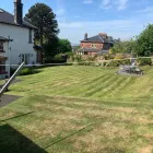 Business 4 image THE GLASGOW TREE SURGEON Tree Services in Glasgow Glg