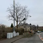 Business 10 image THE GLASGOW TREE SURGEON Tree Services in Glasgow Glg