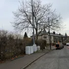 Business 12 image THE GLASGOW TREE SURGEON Tree Services in Glasgow Glg