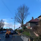 Business 19 image THE GLASGOW TREE SURGEON Tree Services in Glasgow Glg