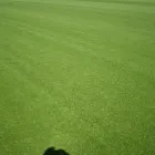 Business 3 image THE GOLF COMPANY Sports Equipment Suppliers in Gretna Du