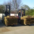 Business 5 image THE GOLF COMPANY Sports Equipment Suppliers in Gretna Du