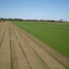 Business 6 image THE GOLF COMPANY Sports Equipment Suppliers in Gretna Du