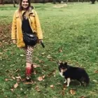 Business 11 image THE HOUND HOUSE Pets & Animals in Manchester Gr