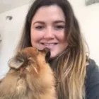 Business 25 image THE HOUND HOUSE Pets & Animals in Manchester Gr