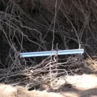 Business 2 image THE LANDSCAPE PARTNERSHIP Tree Services in Norwich No