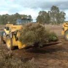 Business 6 image THE LANDSCAPE PARTNERSHIP Tree Services in Norwich No