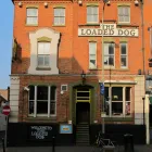 Business 2 image THE LOADED DOG Pubs in Leicester Le