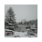 Business 2 image THE ORIGINAL PRINTING CO Printers & Lithographers in Glasgow La