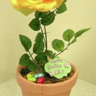 Business 8 image THE OUTRAGEOUS CAKE COMPANY Cake Makers & Decorations in IPSWICH Su