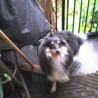 Business 6 image THE OWLS NURSERY LTD Day Nurseries in Bolton La