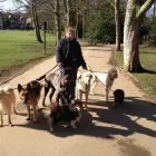 Business 8 image THE OWLS NURSERY LTD Day Nurseries in Bolton La