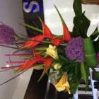 Business 3 image THE SECRET GARDENS Shopping & Retail in Birmingham We