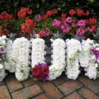 Business 4 image THE SECRET GARDENS Shopping & Retail in Birmingham We