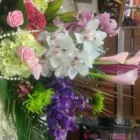 Business 6 image THE SECRET GARDENS Shopping & Retail in Birmingham We