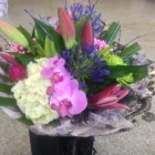 Business 7 image THE SECRET GARDENS Shopping & Retail in Birmingham We