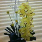 Business 13 image THE SECRET GARDENS Shopping & Retail in Birmingham We