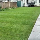 Business 3 image THE SHED Turfing Services in Harrow Gr