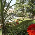 Business 13 image THE SHED Turfing Services in Harrow Gr