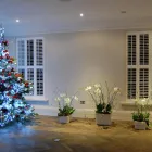 Business 11 image THE SHUTTER STUDIO Shutter Manufacturers in Croydon Su