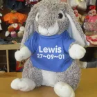 Business 1 image THE TEDDY WORKSHOP Toy Shops in Haverfordwest Dy