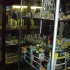 Business 24 image THE TREASURE BUNKER MILITARIA SHOP Toy Soldiers in Glasgow La