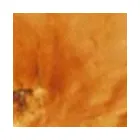 Business 9 image THE ULTIMATE FLOORING Home & Garden in Richmond Gr