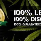 Business 1 image THE VAULT CANNABIS SEEDS STORE Management & Business Consultants in Edinburgh Mi