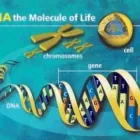 Business 3 image THIS IS MY: HEALTH SCREENING & ULTRASOUND CENTRES Private Clinics in Leeds We