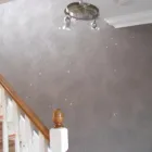 Business 3 image THORNTONS LOLLIES LTD Ice Cream Suppliers in Leeds We