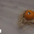 Business 11 image TOMSON FLOORS Home & Garden in Glasgow Glg