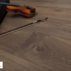 Business 12 image TOMSON FLOORS Home & Garden in Glasgow Glg