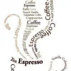 Business 1 image TOPIARY HOUSE LTD Horticultural Nurseries - Retail in Rickmansworth He