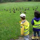 Business 7 image TOPS DAY NURSERIES: POOLE NURSERY Nursery Schools in Poole Do