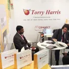 Business 3 image TORRY HARRIS BUSINESS SOLUTIONS (EUROPE) LTD. IT Services in Bradley Stoke Av