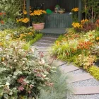 Business 1 image TOWN & COUNTRY Garden Services in Derby De