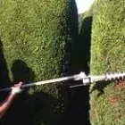 Business 4 image TREE TOPPS.LANDSCAPING AND GARDEN SERVICES Tree Services in Llanelli Dy