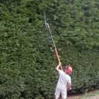 Business 5 image TREE TOPPS.LANDSCAPING AND GARDEN SERVICES Tree Services in Llanelli Dy