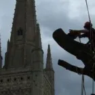 Business 2 image TREECARE CONSULTANTS LTD Tree Services in Norwich No