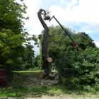 Business 2 image TREECREEPER ARBORICULTURE Tree Services in Norwich No