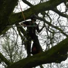 Business 5 image TREECREEPER ARBORICULTURE Tree Services in Norwich No