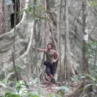 Business 8 image TREECREEPER ARBORICULTURE Tree Services in Norwich No